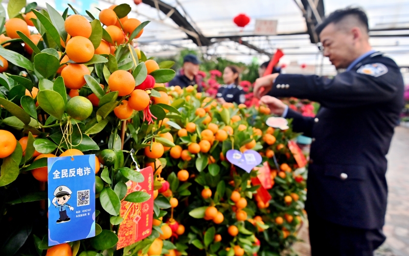 mmexport1737523915220